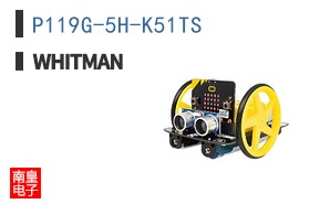 P119G-5H-K51TS ͼƬ